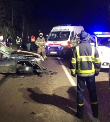 На Волині авто збило лося, а інше його переїхало. Є постраждалі