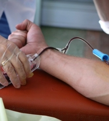У Львові стартує проєкт «Моя група крові», що популяризує донорство