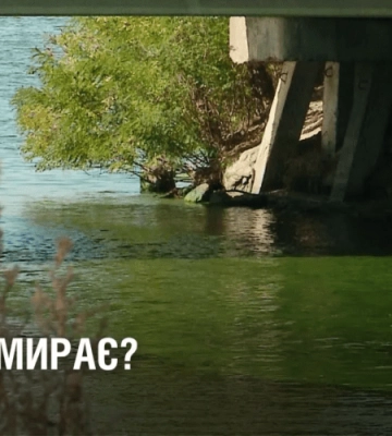 Сморід і мутна вода! Чи справді ДНІПРО вмирає?