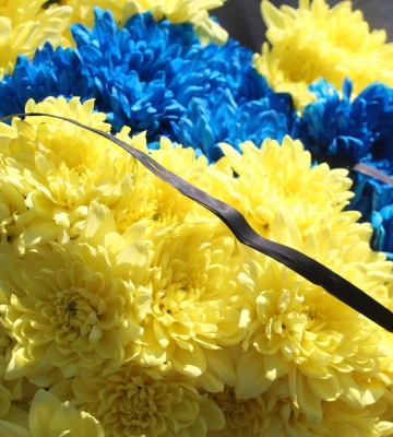 У Луцьку відспівають солдата Олега Струбіцького