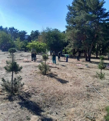 Замість повалених буревієм: у парку “Ліски” висадили дворічні саджанці сосни