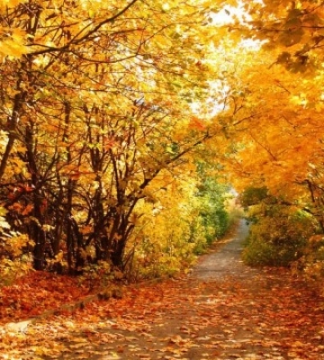 В Україну йде потепління - на вихідні прогнозують до +26°