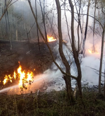 У лікарні Німеччини померли двоє постраждалих унаслідок прориву нафтопроводу в Івано-Франківській області