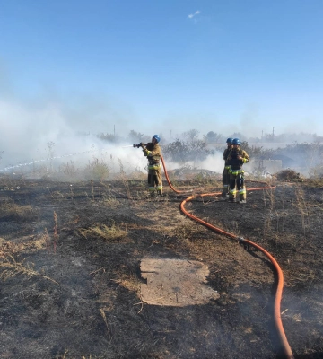 Чотири ударних і один розвідувальний БпЛА знешкоджено на Миколаївщині