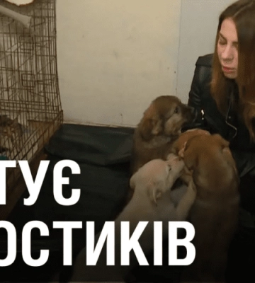РЯТУЄ “хвостиків”. КОТОМАМА по-дніпровськи!