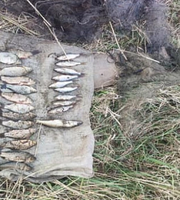 На Днепропетровщине нарушитель наловил рыбы на почти 40 тысяч гривен ущерба