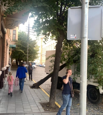 У Чернівцях на Міцкевича дерево звалилось на вантажівку