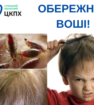 На Сумщині почастішали випадки педикульозу