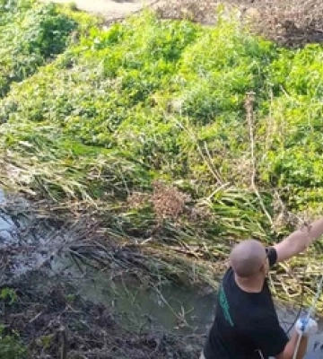«День води»: у Луцьку екологи почистили берег Сапалаївки 