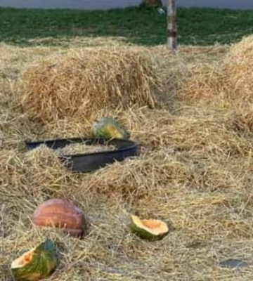 У Дніпрі містяни познущалися з фотозони у сквері Усачова