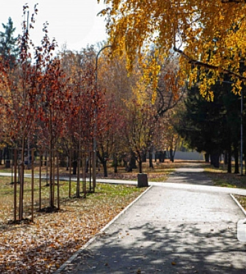 Коли криворіжцям чекати на бабине літо: прогнози