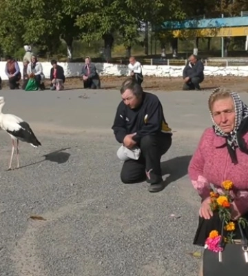 В Винницкой области на похороны бойца пришел аист