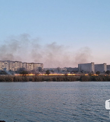 Полиция охраны Кривого Рога задержала мужчину с поддельным военным билетом