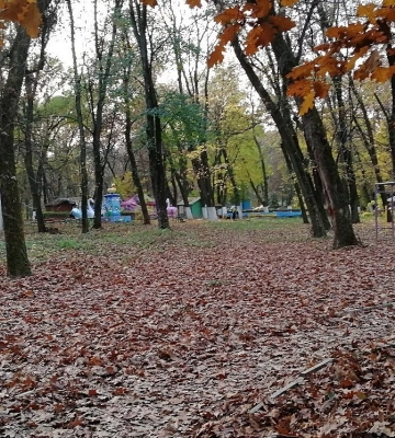 Черговий корупційний кейс на Закарпатті