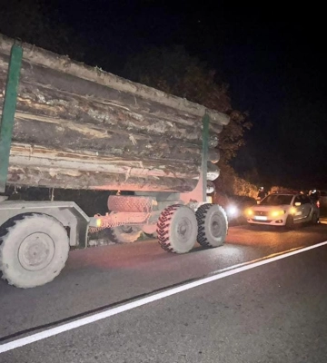 На Закарпатті поліцейські вилучили вантажівку з нелегальною деревиною
