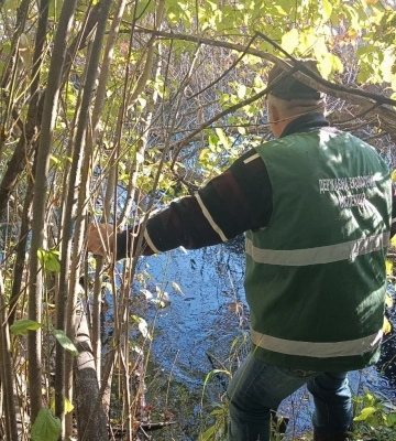 У ставок на Полтавщині витекла небезпечна речовина, яка забруднила воду й ґрунт