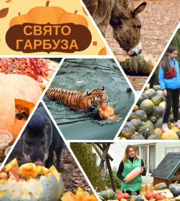 Яким буде свято гарбуза у Луцькому зоопарку