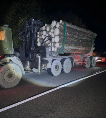 На Рахівщині вилучили вантажівку з нелегальною лісопродукцією