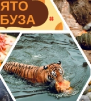 У Луцькому зоопарку відбудеться свято гарбуза