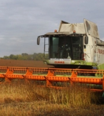 Волинські аграрії завершують збір урожаю