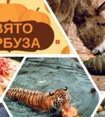 Яким буде свято гарбуза у Луцькому зоопарку