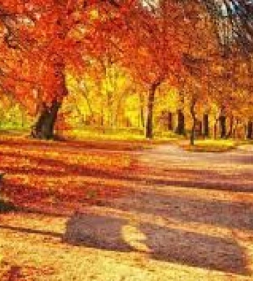 14 жовтня на календарі: народні свята, традиції та дні ангела