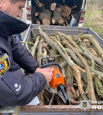 На Одещині судили &quot;чорного лісоруба&quot;, - ФОТО