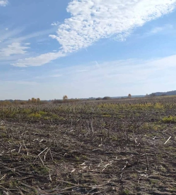 65 гектарів: громада біля Луцька віддає в оренду п’ять земельних ділянок