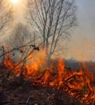 На Дніпропетровщині збережеться найвищий рівень пожежної небезпеки
