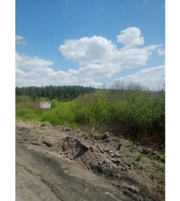 Під офіси на сім років: біля Луцька в оренду віддають комунальну землю