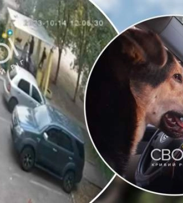 Стрілянина в Кривому Розі: ЗМІ пишуть, що ексдепутат від &quot;Оппоблоку&quot; хотів вбити собаку