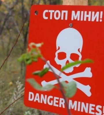 На Миколаївщині внаслідок підриву на міні загинула дитина – МВС