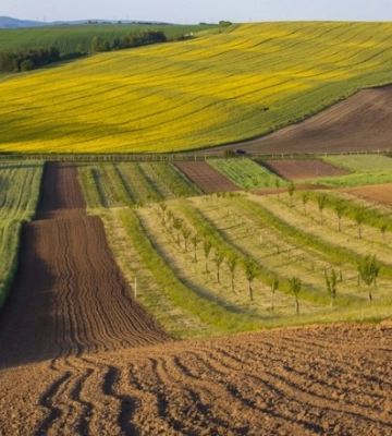 На Львівщині виставили на продаж дві земельні ділянки