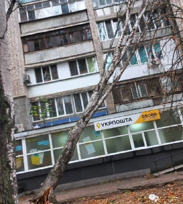 В Одесі через негоду повалені близько 20 дерев та великих гілок