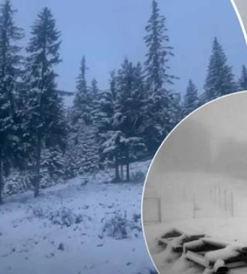 Украинские Карпаты замело снегом, ударил мороз: фото заснеженных вершин