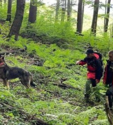 В Закарпатті на Мукачівщині та Виноградівщині безвісті зникли двоє чоловіків