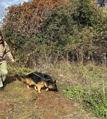 У вбивстві на Полтавщині підозрюють місцевого пенсіонера