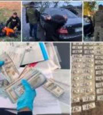 СБУ ліквідувала ще 4 «схеми ухилянтів»: одна з них передбачала фіктивне одруження на особах з інвалідністю