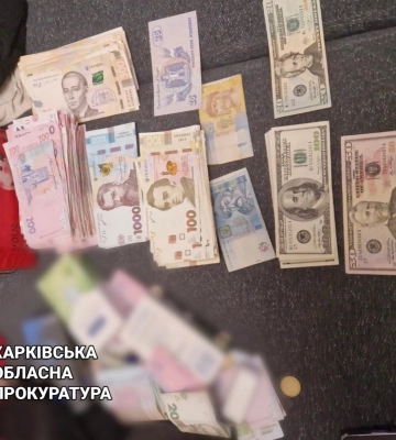 Заробіток за ніч та «ввічливі» клієнти: лучанка разом із спільницею організовували «місця розпусти»