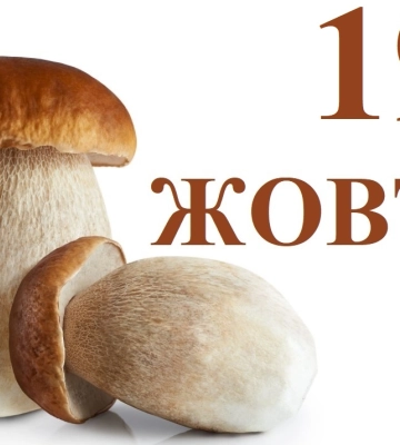 Сегодня 19 октября: какой праздник и день в истории