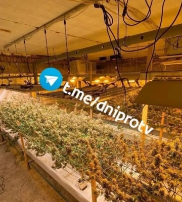 У Дніпрі затримано майора СБУ за підозрою у «кришуванні» нарколабораторій
