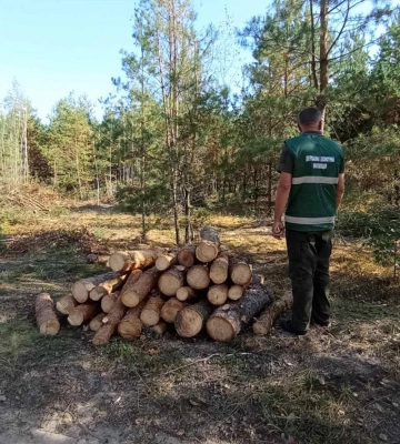 Майже 3 мільйони гривень штрафу сплатить одна з громад Рівненщини за незаконну вирубку лісу