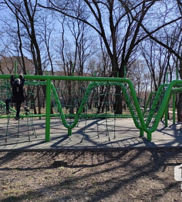 7 дітей з Криворізького району відправляться до «Артеку» на оздоровлення