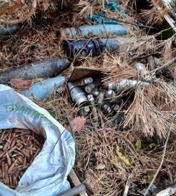 На Житомирщині грибник виявив у лісі схрон з боєприпасами