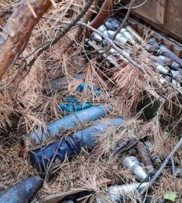 Грибар виявив склад боєприпасів у лісі на Житомирщині, - МВС. ФОТОрепортаж