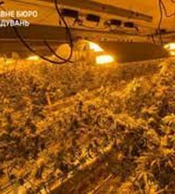 Майор СБУ з Дніпра «кришував» потужний наркобізнес: нові подробиці від ДБР (ВІДЕО)