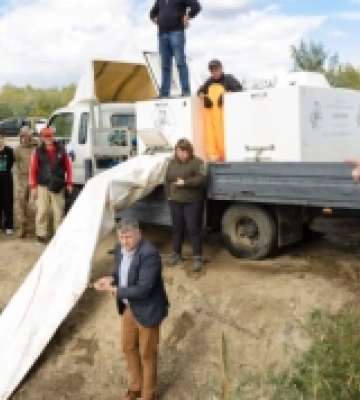 Річку Дунай зарибили червонокнижними осетровими