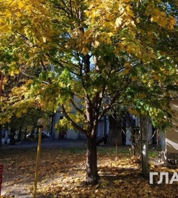 На выходные в Украине установится теплая сухая погода, местами до 28°С