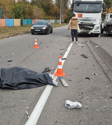В Каменском кошка спровоцировала смертельное ДТП: видео момента