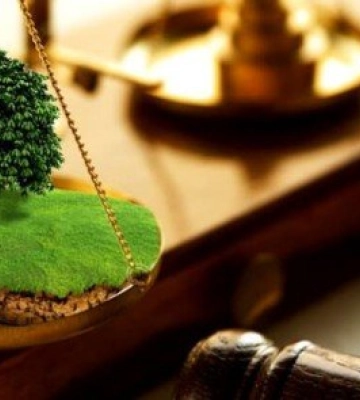 На Волині ділянку вартістю 27 мільйонів повернули державі